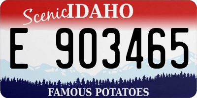 ID license plate E903465