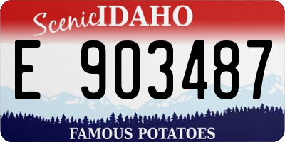 ID license plate E903487