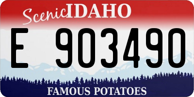 ID license plate E903490