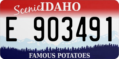 ID license plate E903491