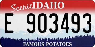 ID license plate E903493