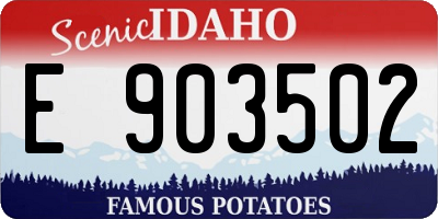 ID license plate E903502