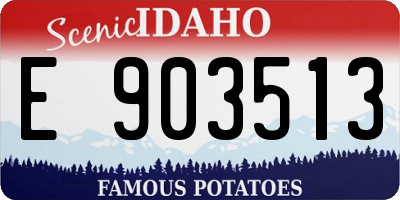ID license plate E903513