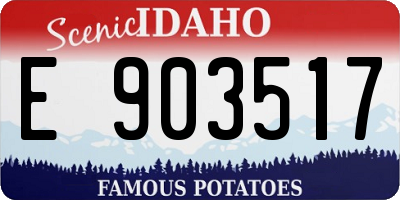 ID license plate E903517