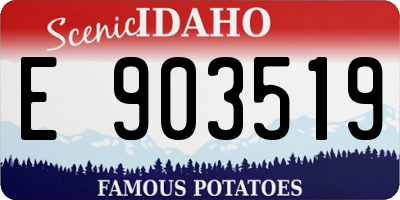 ID license plate E903519