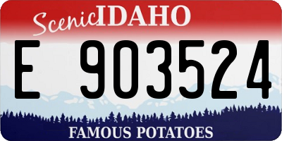 ID license plate E903524