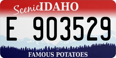 ID license plate E903529