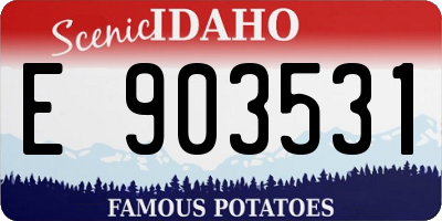 ID license plate E903531