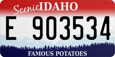 ID license plate E903534