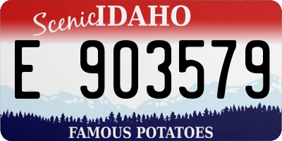 ID license plate E903579