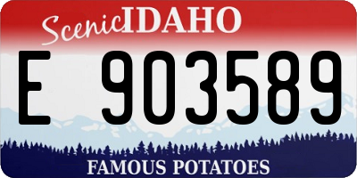 ID license plate E903589