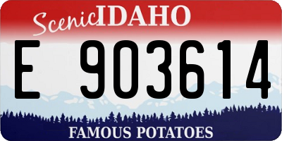 ID license plate E903614