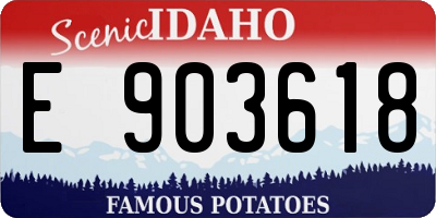 ID license plate E903618