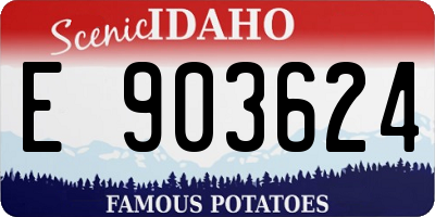 ID license plate E903624