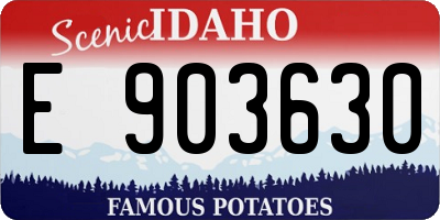 ID license plate E903630