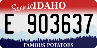 ID license plate E903637