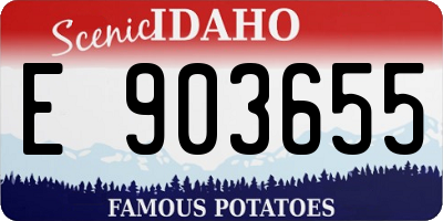 ID license plate E903655