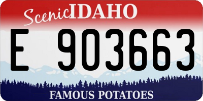 ID license plate E903663