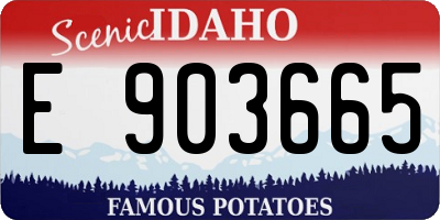 ID license plate E903665