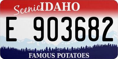 ID license plate E903682