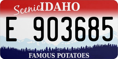 ID license plate E903685
