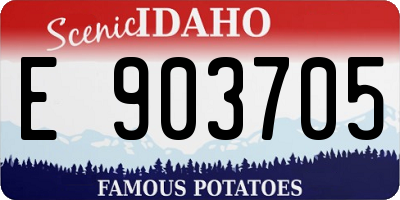 ID license plate E903705