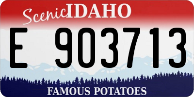ID license plate E903713