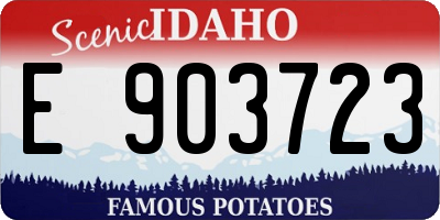 ID license plate E903723