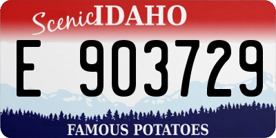 ID license plate E903729