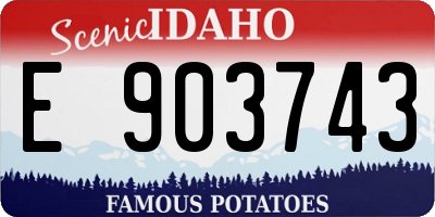 ID license plate E903743