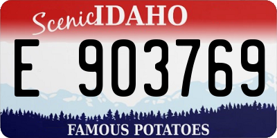 ID license plate E903769