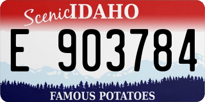 ID license plate E903784