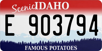 ID license plate E903794
