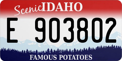 ID license plate E903802
