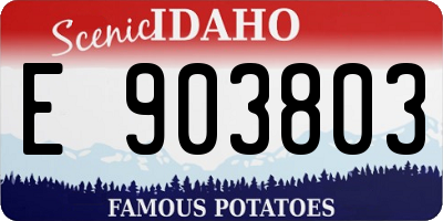 ID license plate E903803