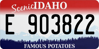 ID license plate E903822