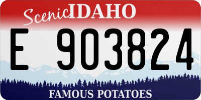 ID license plate E903824