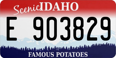 ID license plate E903829