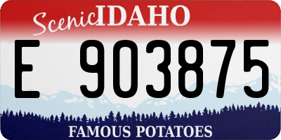 ID license plate E903875