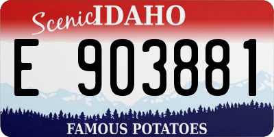 ID license plate E903881
