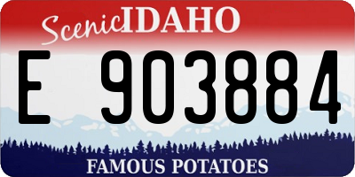 ID license plate E903884