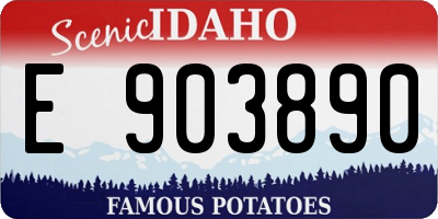 ID license plate E903890
