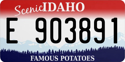 ID license plate E903891