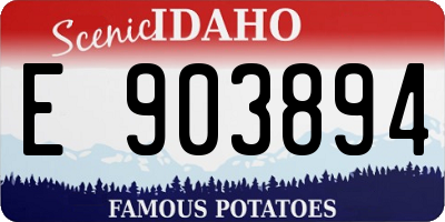 ID license plate E903894