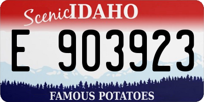 ID license plate E903923