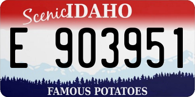 ID license plate E903951