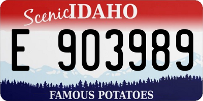 ID license plate E903989