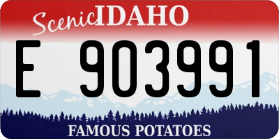 ID license plate E903991