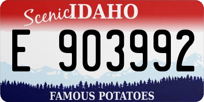 ID license plate E903992