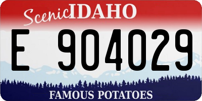 ID license plate E904029